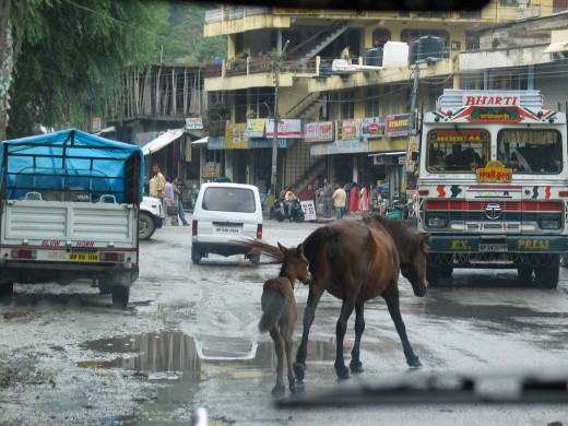 Image Courtesy Isabel Wiesmann