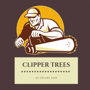 clippertreeil profile image