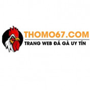 thomo67 profile image