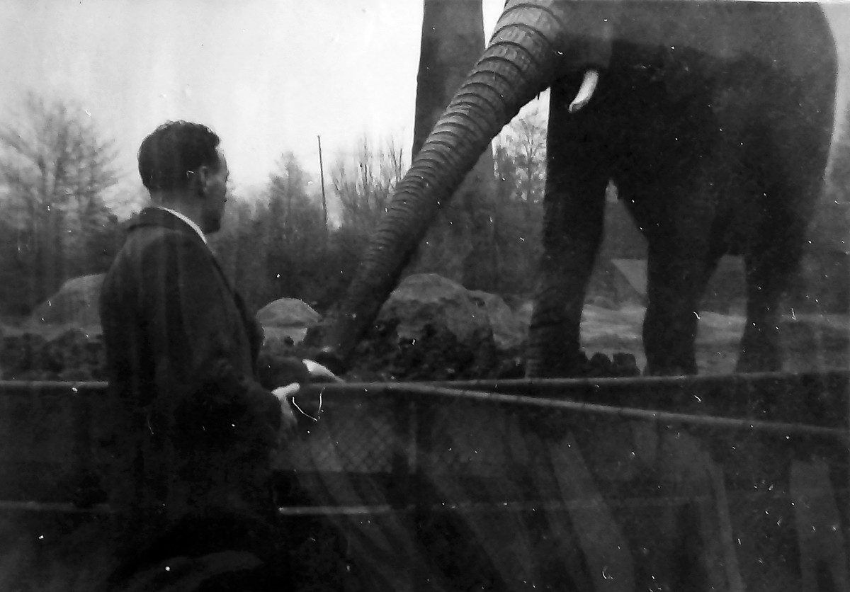 Dad at the elephant house at London Zoo.