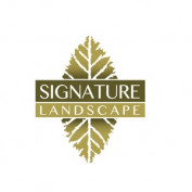 signaturelandscape profile image