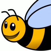 Ashlee W. profile image