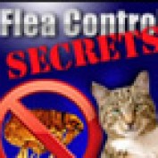 FleaTreatment profile image