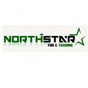 NorthStarFur profile image