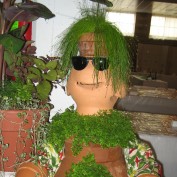 Lynett profile image