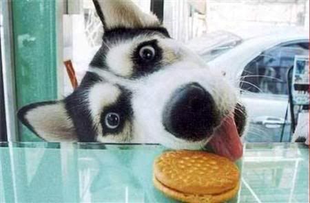 Sometimes we will do anything to get what we want!