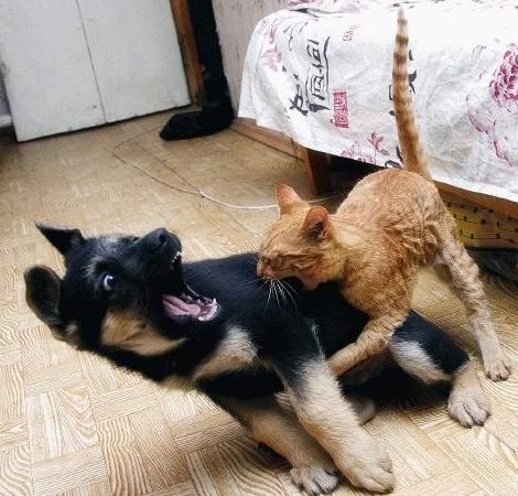 A surprise encounter can make everyone uncomforable