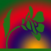 RLR profile image