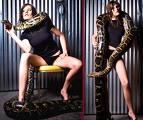 Large Burmese Pythons.  Snakes have always been embroiled in sexual imagery.  credit reptileknowledge.com