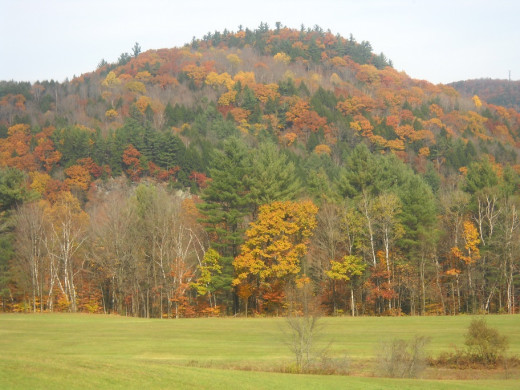 The trees are now growing back on the hillsides of Vermont. 