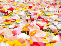 How to Put in Rose Petals for a Romantic Wedding