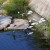 Egrets in the canal going to Playa La Principal Egrets in the canal going to Playa La Principal