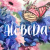 AloBeDa profile image