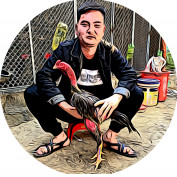 shopgachoi profile image