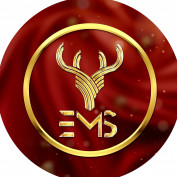 marketingems profile image