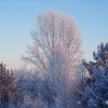 Alexander Derwinter profile image