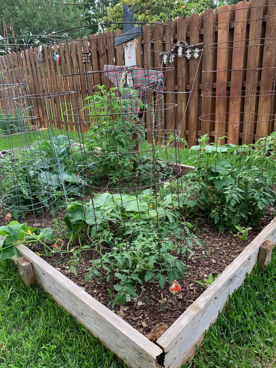 Raised Garden Beds For Your Vegetable or Flower Garden