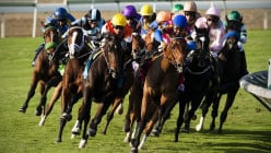 Horse Race Betting Strategies