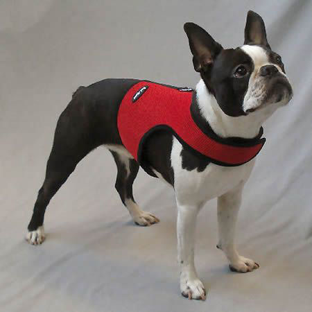 The Wrap-N-Go secures without buckles or pinch clasps. Instead, industrial-strength hook-and-loop tape keeps your dog safe.
