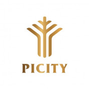 picitypigroup profile image
