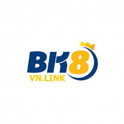 bk8vn profile image