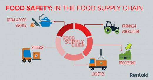 A depiction of the food supply chain