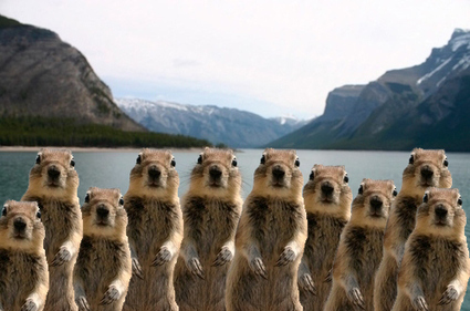 A Family Photo of Crashers Family. Come on you knew there had to be more than one.