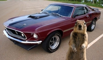 If I Could Reach The Pedals I Know I Could Drive