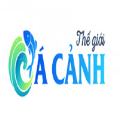 thegioicacanh profile image