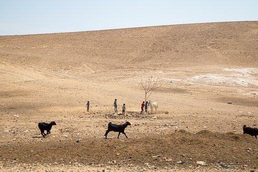 A dessert where Bedouin people live