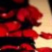 Kcokayne profile image