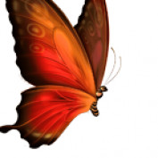 loclipnong profile image