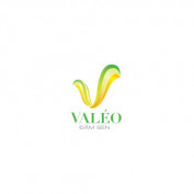 valeodamsen profile image