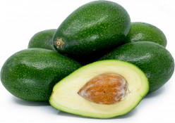 Interesting Facts About Avocado Trees And Their Fruit