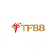tf88top profile image