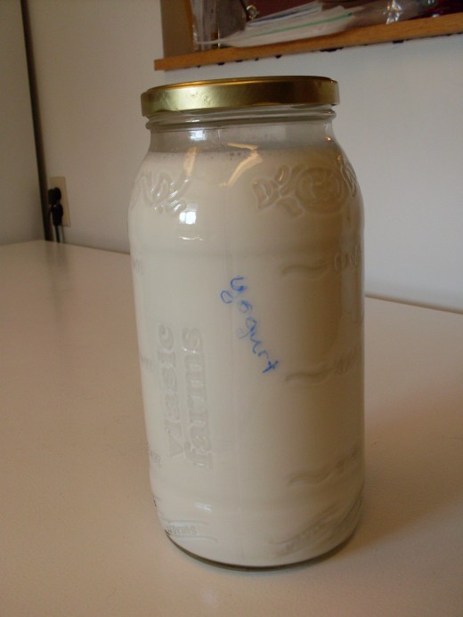 How to Make Organic, Raw Goat's Milk Yogurt Delishably