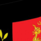 congtybaovesonglong profile image