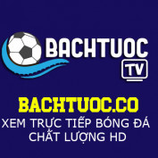 bachtuocco profile image