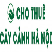 chothuecaycan profile image