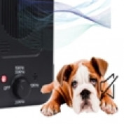 raciri76frcecewl profile image