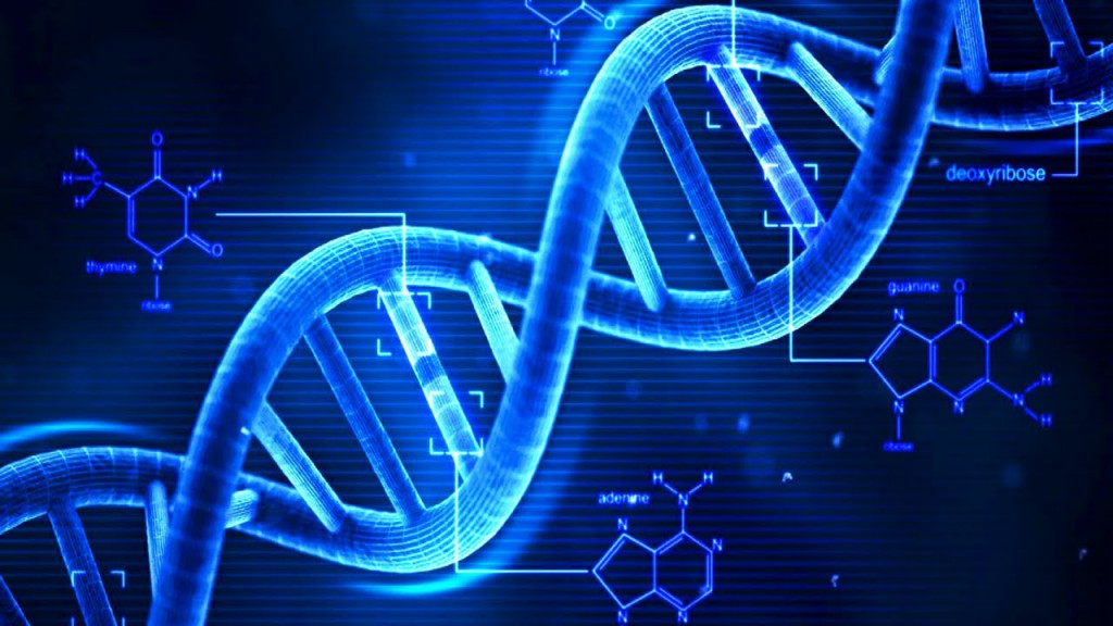 is-your-dna-worth-knowing-hubpages