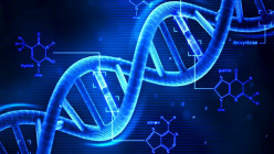 Is Your DNA Worth Knowing