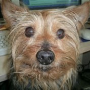 Segollo profile image