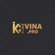 k8vina-pro profile image