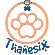 thanesix-com profile image