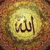 Muhammad Aarib profile image
