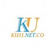 ku11netco profile image