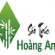 saotruchoanganh profile image