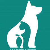 nghienpet profile image