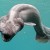 9. Frill Shark 9. Frill Shark